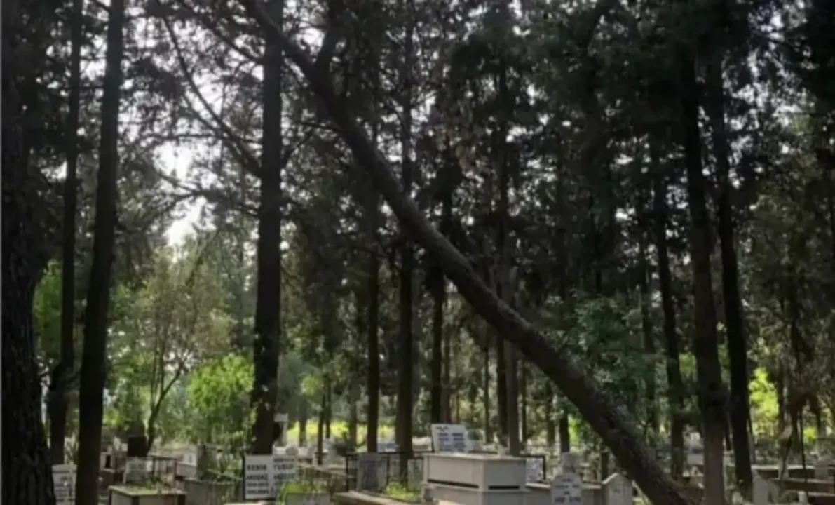 Menderes Kasımpaşa Mezarlığı'ndaki tehlike
