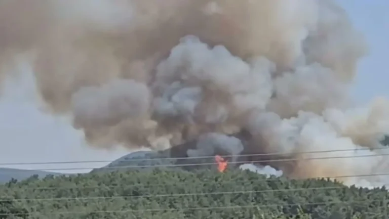 İzmir Menderes'teki Orman Yangını Kontrol Altına Alındı