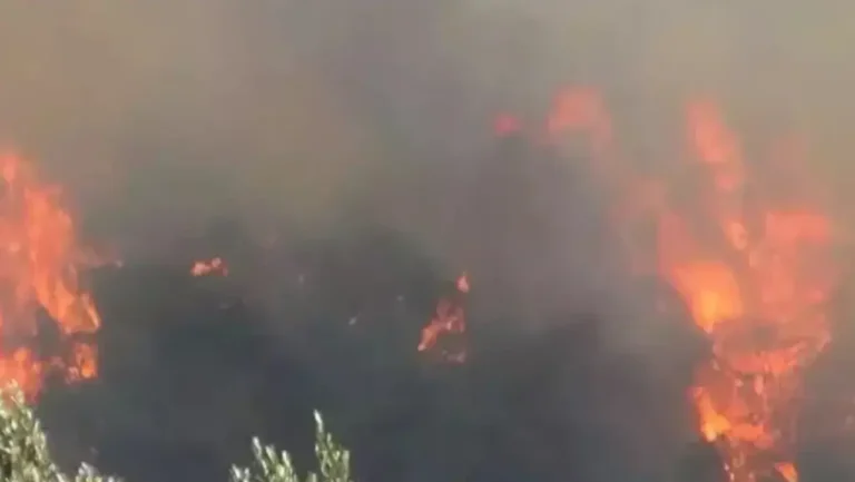 Menderes'te Orman Yangını 22 Ağustos Tarım Arazisinden Ormanlık Alana Sıçradı