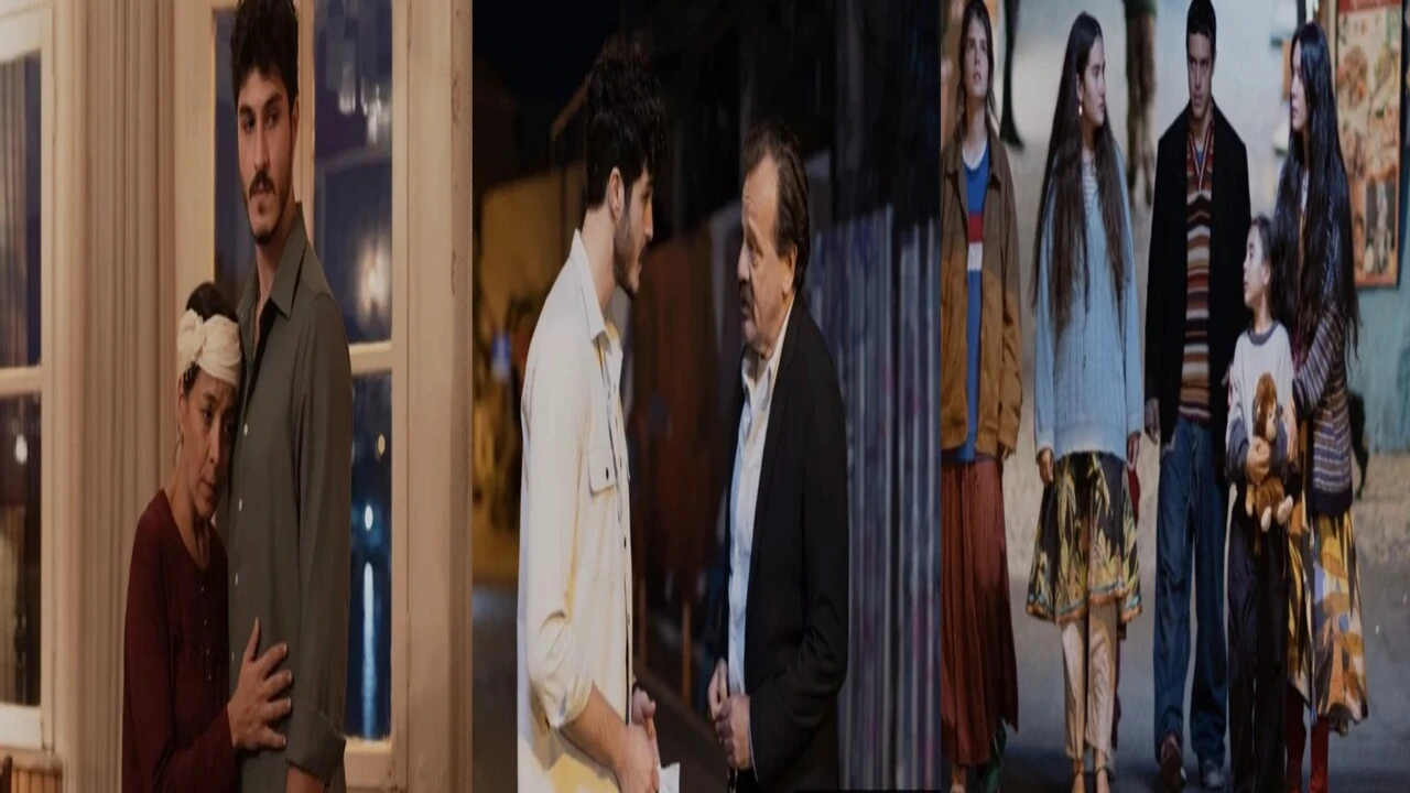 31 Aralık 2025 Sahipsizler neden