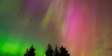 Canli-Yayinda-Soke-Eden-Olum-Unlu-Fenomen-Hayatini-Kaybetti-featured