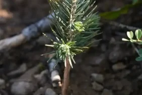 FB_IMG_1773080366347