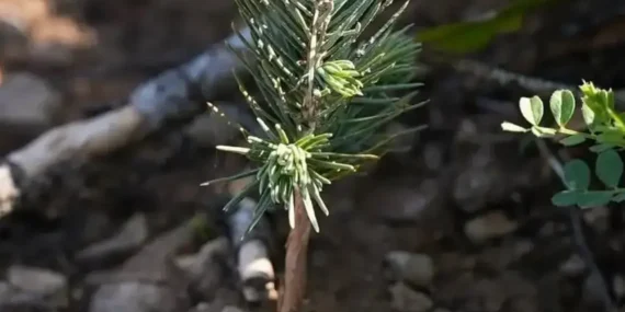 FB_IMG_1773080366347