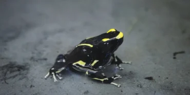 Istanbul-Valiligi8217nden-Kritik-Bayram-Uyarisi-Sicakliklar-Cakiliyor-featured