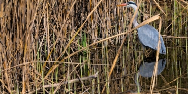 Mazlum-Kibar8217dan-Dunya-Rekoru-Soguk-Suda-36-Saatlik-Yasam-Mucadelesi-featured