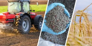 Mazot_Gubre_Destek_03_10_23