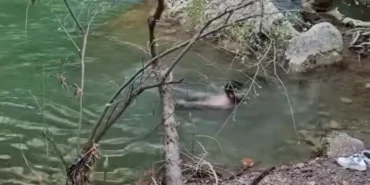 Screenshot_20260311-005804