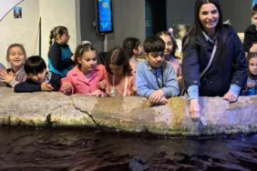 c1e8ecfecd4ca647ff82bc5ed144fc3a