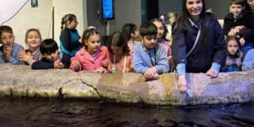 c1e8ecfecd4ca647ff82bc5ed144fc3a