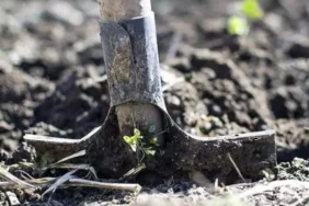 gubrede-vergi-sifirlandi-1