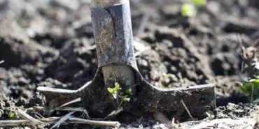 gubrede-vergi-sifirlandi-1