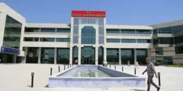 images - 2026-03-17T030826.515