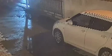 images - 2026-03-25T174944.134