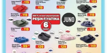 images - 2026-03-29T141744.701