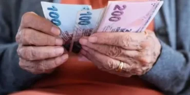 images - 2026-03-30T001755.985