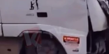 images - 2026-03-30T010223.629