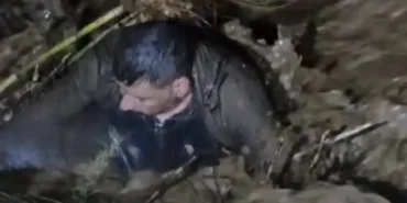 images - 2026-03-30T142222.434