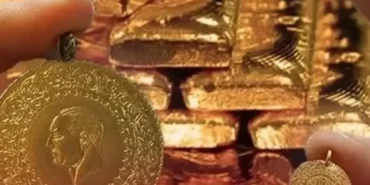 images - 2026-03-30T151601.693