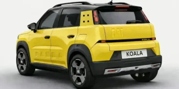 8d86024b-wepuncdq6c7ymhuv3kvt9 (1)