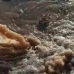 Burhaniye’de Kirli Su Alarmı: Öğretmenler Mahallesi’nde Deniz Kirlendi - TV de Bugün İnternet Haberleri