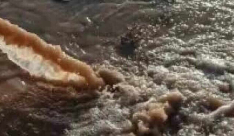 Burhaniye’de Kirli Su Alarmı, Öğretmenler Mahallesi’nde Deniz Kirlendi