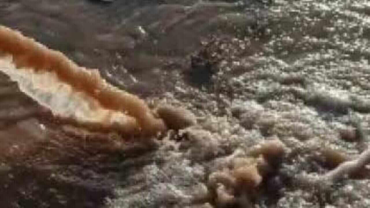 Burhaniye’de Kirli Su Alarmı: Öğretmenler Mahallesi’nde Deniz Kirlendi - TV de Bugün İnternet Haberleri