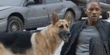 I Am Legend 2 Müjdesi