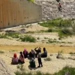 Şanlıurfa Birecik’te Kahreden Haber