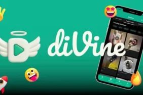Vine Videolarını Geri Getiren diVine Uygulaması Yayına Girdi - TV de Bugün İnternet Haberleri