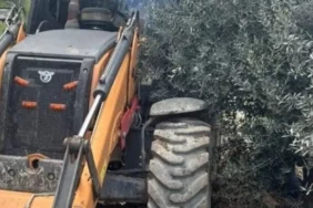 Aydın Nazilli’deki kaçak define kazısında göçük: Bir ölü