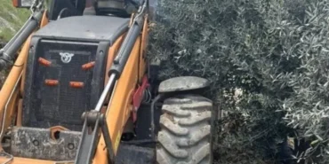 Aydın Nazilli’deki kaçak define kazısında göçük: Bir ölü