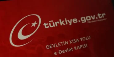 e-Devlet Erişim Sorunu