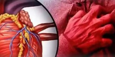 images - 2026-04-02T131622.840