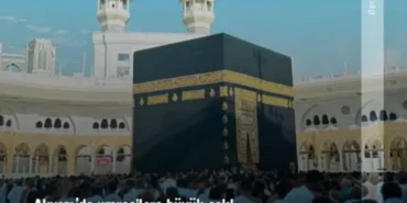 images - 2026-04-03T120543.571