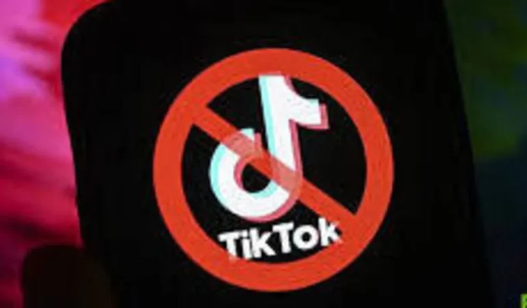 Melisa Melo TikTok Hesabı ve Videoları: Sosyal Medyada Merak Edilen Gerçekler