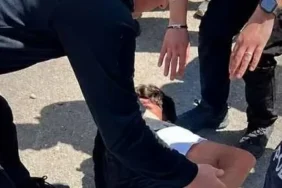 Diyarbakır’da Okul Çevresinde Silahlı Panik: Saldırgan Ele Geçirildi - TV de Bugün İnternet Haberleri