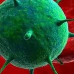 Hantavirus-Rehberi-Bulas-Yollari-ve-Merak-Edilen-Tum-Detaylar-featured
