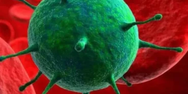 Hantavirus-Rehberi-Bulas-Yollari-ve-Merak-Edilen-Tum-Detaylar-featured