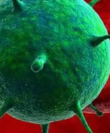 Hantavirus-Rehberi-Bulas-Yollari-ve-Merak-Edilen-Tum-Detaylar-featured
