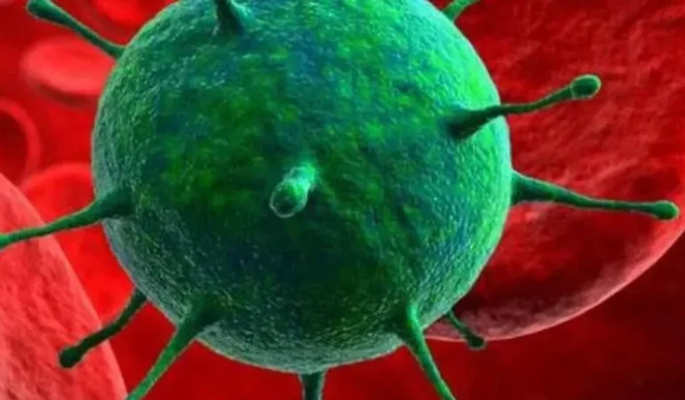Hantavirus-Rehberi-Bulas-Yollari-ve-Merak-Edilen-Tum-Detaylar-featured