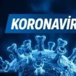 Hantavirus-ve-Koronavirus-Belirtileri-Farklar-ve-Benzerlikler-featured