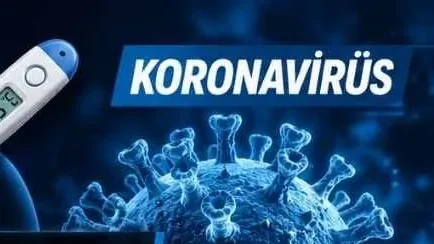Hantavirüs ve Koronavirüs Belirtileri, Farklar ve Benzerlikler