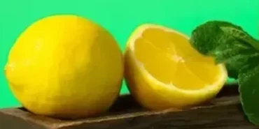 Iki-Kuzu-Kulagi-Akimi-Nedir-Viral-Olan-Sozlerin-Anlami-ve-Kokeni-featured