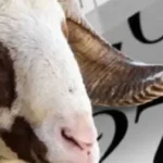 Kurban Bayramı Hava Durumu: İl İl Sıcaklık Tahminleri ve Veriler - TV de Bugün İnternet Haberleri