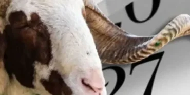 Kurban Bayramı Hava Durumu: İl İl Sıcaklık Tahminleri ve Veriler - TV de Bugün İnternet Haberleri