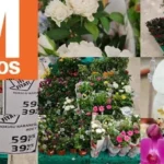 Migros-50.000-TL-Anneler-Gunu-Hediyesi-Gercek-mi-featured