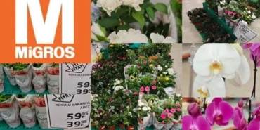 Migros-50.000-TL-Anneler-Gunu-Hediyesi-Gercek-mi-featured