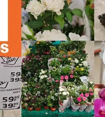 Migros-50.000-TL-Anneler-Gunu-Hediyesi-Gercek-mi-featured