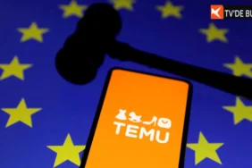 Temu neden ceza aldı ve kesilen ceza ne kadar?