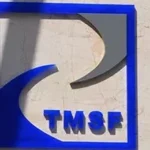 tmsf-01